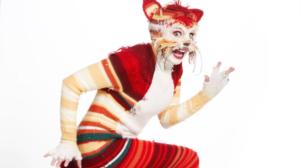 Katinkontti