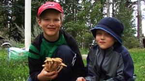 Sienikoulu: Mesisieni ja mesisienispagetti