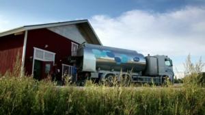 Hommat hoituu