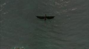 Lohikäärmeratsastajat