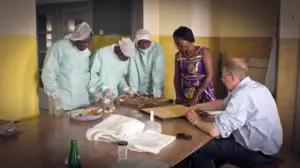 Tiededokumentti: HIV:n salaisuus