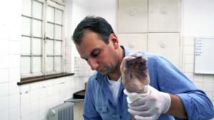 Uusi Kino: Hautausurakoitsija ()