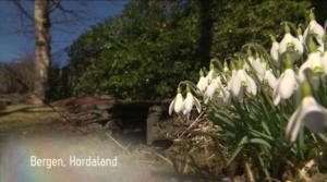 Norjaa ristiin rastiin