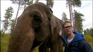 Elämäni eläimet: Eläinsairaalassa