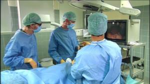 Elämäni eläimet: Eläinsairaalassa