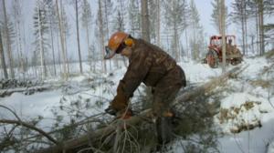 Vaiheessa: Padon purkaja