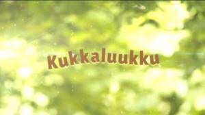 Kukkaluukku: Puutarhakausi ei syksyyn lopu