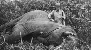 Historia: Rooseveltin suku
