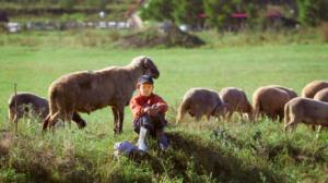 Ulkolinja: Luomuilluusio