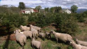 Tiettömän taipaleen takana