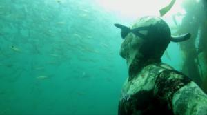 Luontoretkellä: Vedenalainen safari