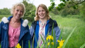 Prisma: Kukkien kehitys