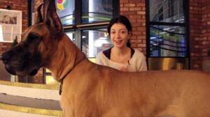 Uusi Päivä: UPplus: Aneten aprillipäivä