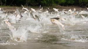 Prisma: Oudoimmat luonnonilmiöt