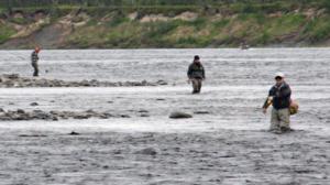 Luontoretkellä: Teno on paras lohijoki