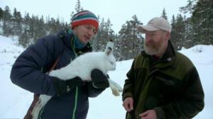 Schrödingerin kissa