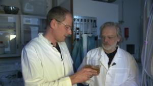 Schrödingerin kissa