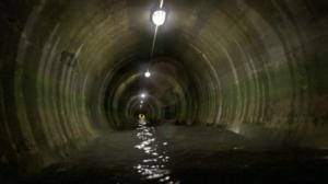 Schrödingerin kissa