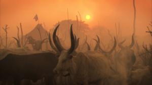 Avara luonto: Niilin matkassa