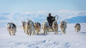 Avara luonto: Villi Kanada