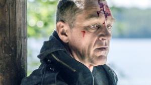 Kotikatsomo: Sorjonen