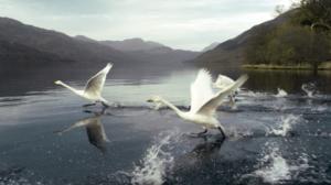 Prisma: Taivaan valloitus