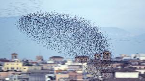 Prisma: Taivaan valloitus