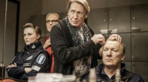 Kotikatsomo: Myrskyn jälkeen