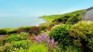 Rakkaudesta puutarhaan