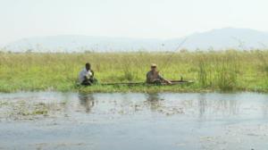 Kalastajien kuninkaalliset