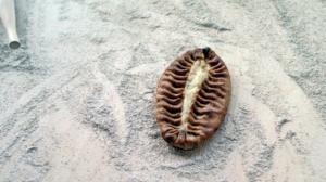 Tusina tavaraa Suomesta