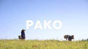 Yle FOLK: Burma-päiväkirja