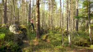 Metsänhalaaja