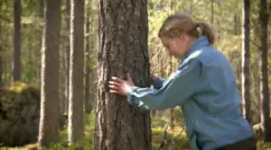 Metsänhalaaja