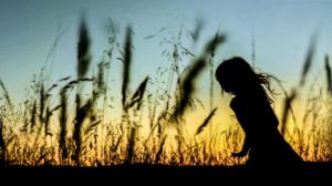 Tiededokumentti: Erityisherkät