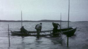 Taistelu saaristostamme. Tuhoutuuko saaristo?