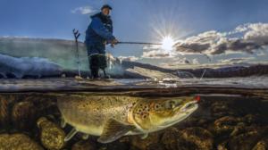 Seikkailu linssin läpi