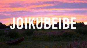 Yle FOLK: Suomen katusoittokeisari