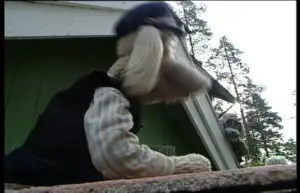 Karvakuonot ja kartanon kummitus