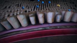 Eurooppalainen keksintöpalkinto 2016