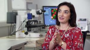 Eurooppalainen keksintöpalkinto 2016