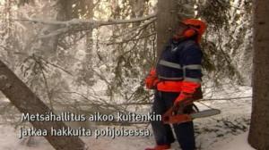 Yle Oddasat