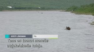 Yle Oddasat