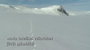 Yle Oddasat