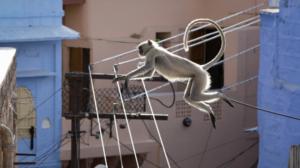 Avara luonto: Planeettamme Maa II