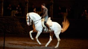 Bartabas Salzburgissa