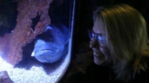 Aikun eka kerta: Akvaario