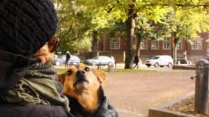 Kansallisaarteen etsintä: Näkymiä