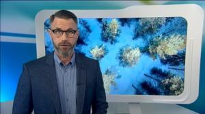 Yle Uutiset Uutis-Suomi: Yle Uutiset Uutis-Suomi 07-02-2017