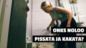 Onks noloo 2017: Vessa